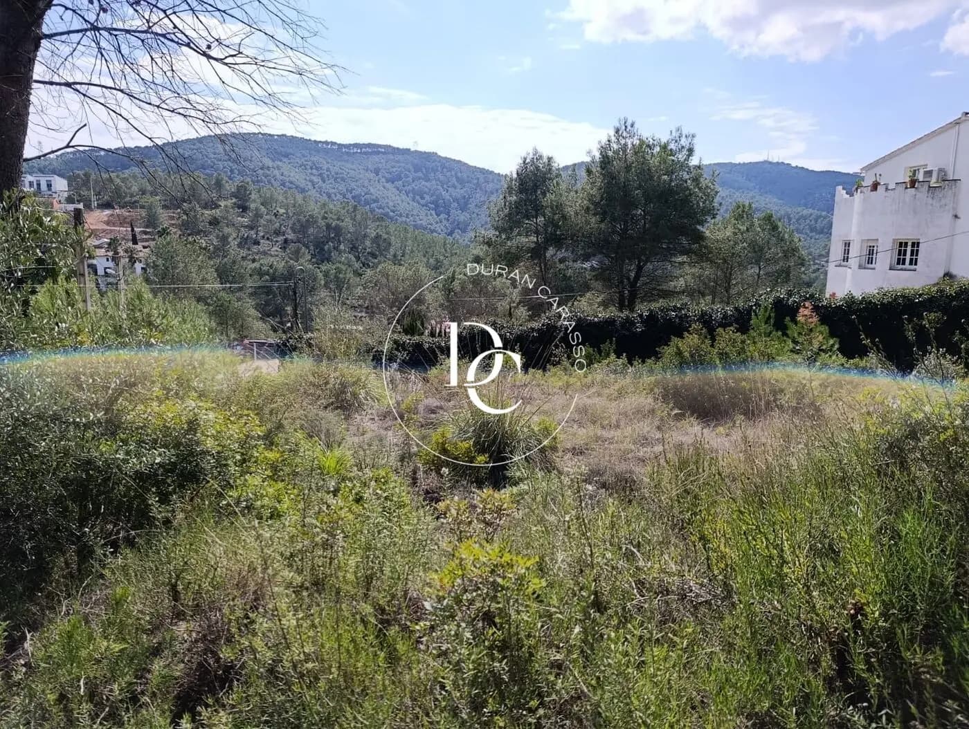 Venda a Olivella