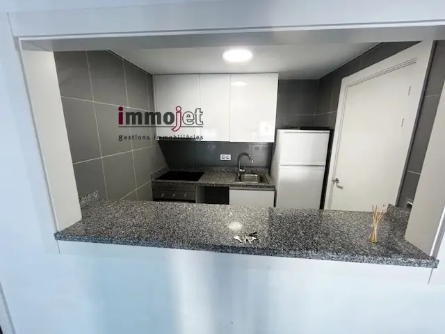 Duplex de LLoguer a La Massana 2 Habitacions - Thumbnail 4